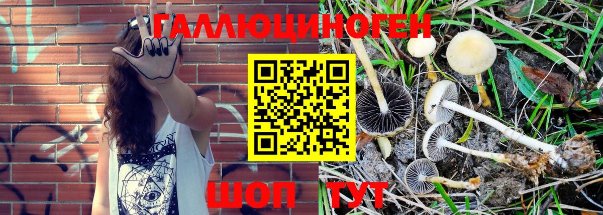 Псилоцибиновые грибы MAGIC MUSHROOMS  Галлюциногенные грибы MAGIC MUSHROOMS  Похвистнево  Вход с VPN 